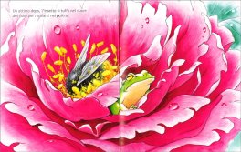 Nel Giardino della Primavera — Libro - 3