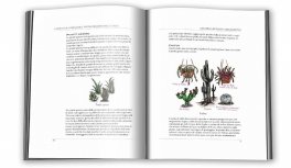 Nel Giardino della Strega Verde — Libro - 3