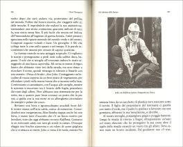 Nel Labirinto della Foresta — Libro - 3