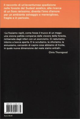 Nel Labirinto della Foresta — Libro - 2