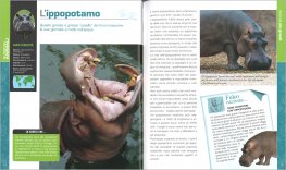 Nel Mondo degli Animali — Libro - 3
