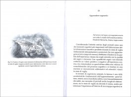 Nel Nome dell'Animalità — Libro - 3