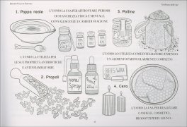 Nel Reame delle Api — Libro - 3