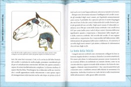 Nella Mente del Cavallo — Libro - 3