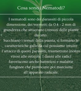 Nema Sol - Bioprotettore Radicale Bio - 7