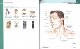 Netter - Atlante di Anatomia Umana — Libro - 3