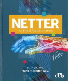 Netter - Atlante di Anatomia Umana — Libro - 1
