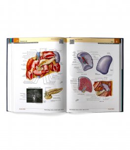 Netter - Atlante di Anatomia Umana Sistematica — Libro - 3