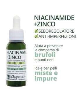 Niacinamide + Zinco - 4