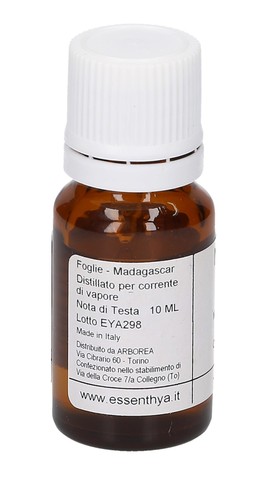 Niaouli Melaleuca Bio - Olio Essenziale Puro - 3