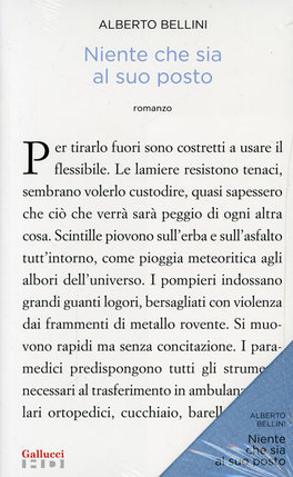 Niente che sia al suo Posto  — Libro - 1