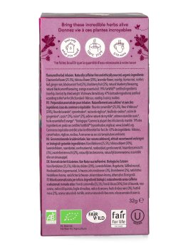 Night Time Berry - Tisana Pukka Bio - 4