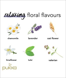 Night Time - Tisana Pukka Bio - 5