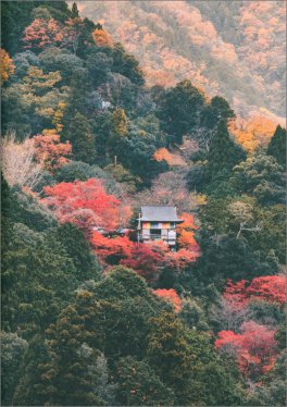 Nippon - Vivere e Scoprire il Giappone — Libro - 4