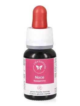 Noce - Basegemmo - 2