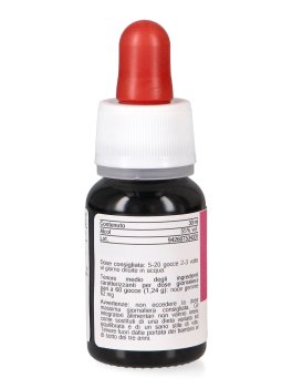 Noce - Basegemmo - 3