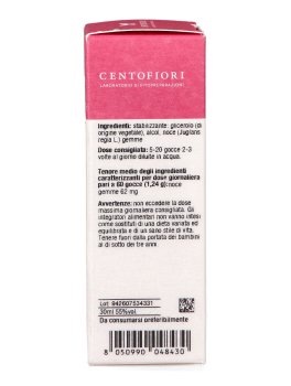 Noce - Basegemmo - 6