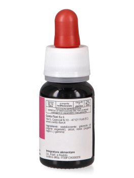 Noce - Basegemmo - 4