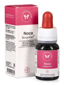 Noce - Basegemmo - 1