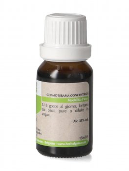 Noce Bio - 3