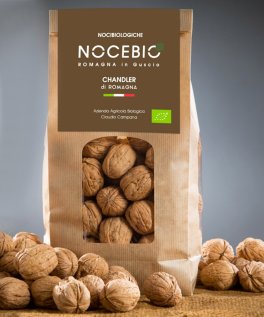 Noci Chandler Bio - 4