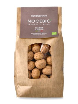 Noci Chandler Bio - 1