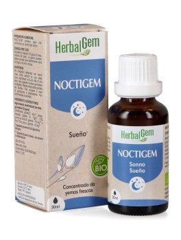 Noctigem - 1