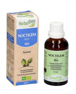 Noctigem - GC11 - Sonno