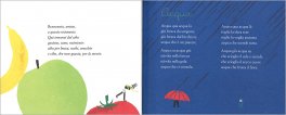 Non Piangere, Cipolla — Libro - 3