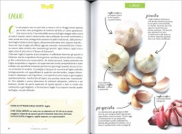 Non si Butta Niente — Libro - 3