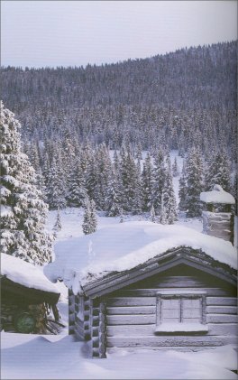Norwegian Wood — Libro - 4