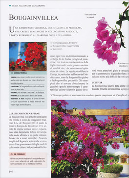 Nuova Enciclopedia del Giardinaggio — Libro - 2