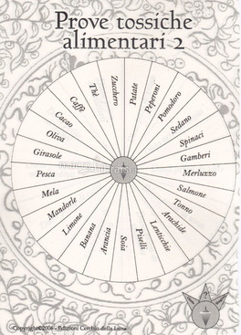 Nuovi Quadranti per Radiestesia - Album con 60 Quadranti — Libro - 4
