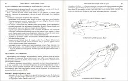 Nuovo Atlante delle Terapie Essene ed Egizie — Libro - 3