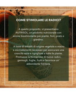 Nutri Sol Nutrizionale - Biostimolante per Piante - 5