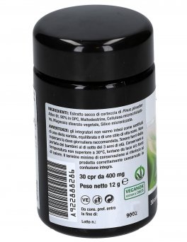 Nutrigenol - Integratore di Corteccia di Pino e Proantocianidine - 3