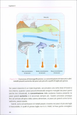 Nutrizione in Gravidanza — Libro - 3