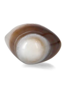 Occhio di Shiva - 1