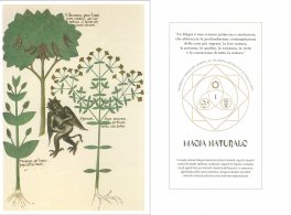 Occulto — Libro - 3