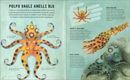 Oceano in 3D — Libro - 3