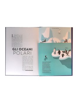 Oceano - Libro Animato per Esplorare il Mondo Marino — Libro - 3