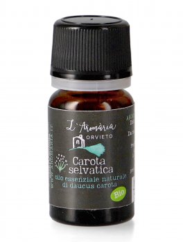 Olio Essenziale di Carota Selvatica Bio - 1