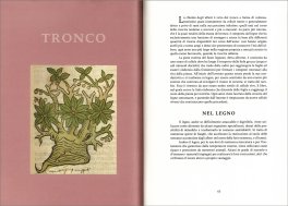 Ogni Albero è un Mondo — Libro - 3
