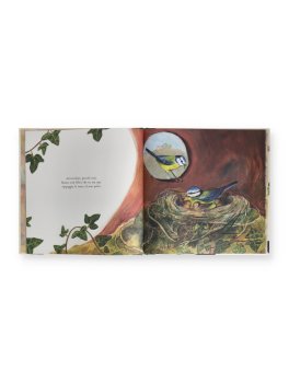 Ogni Casa è un Nido — Libro - 2