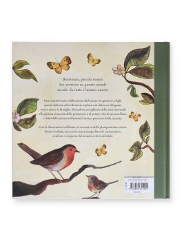 Ogni Casa è un Nido — Libro - 4