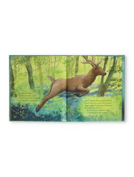 Ognuno di noi è Meraviglioso — Libro - 2