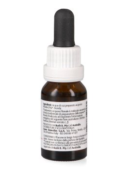 Old Man Banksia - Essenza Floreale Australiana Singola - 2