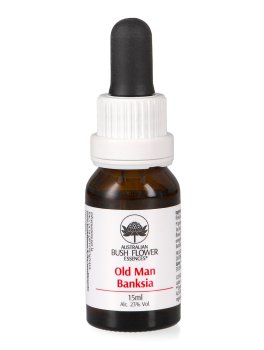 Old Man Banksia - Essenza Floreale Australiana Singola - 1