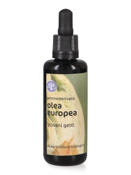 Olea Europaea - Gemmoderivato di Olivo - Giovani Getti - 1