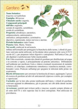 Oli Essenziali e Aromaterapia — Libro - 2